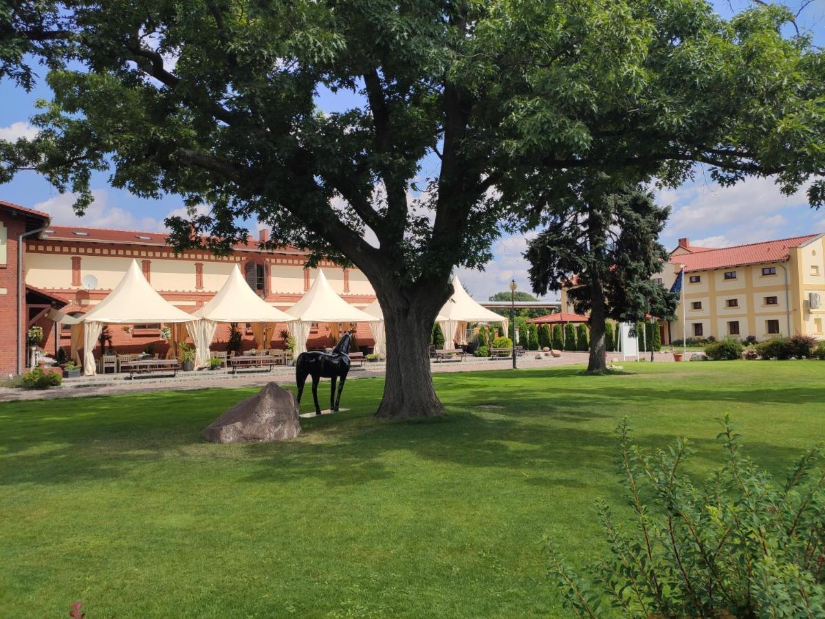 Hotel Sandro Silver & Spichlerz Antoniny Leszno  Exterior photo