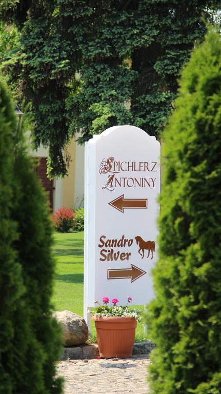 Hotel Sandro Silver & Spichlerz Antoniny Leszno  Exterior photo